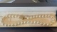 94013.a.jpg