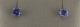 20220309_152817.jpg