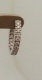 954482.jpg