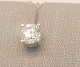 995521.jpg